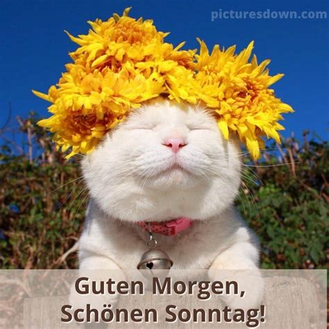 gutenmorgen sonntag|guten morgen sonntag lustig.